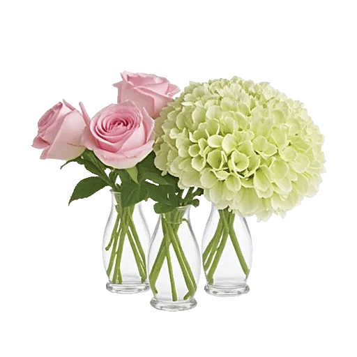 Pink Pastel Roses