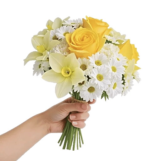 Blossom Harmony Display