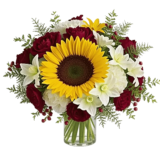 Petal Radiance Bliss