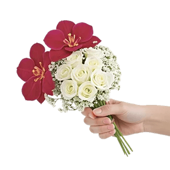 Modern White Orchids