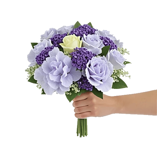 Serene Petal Harmony