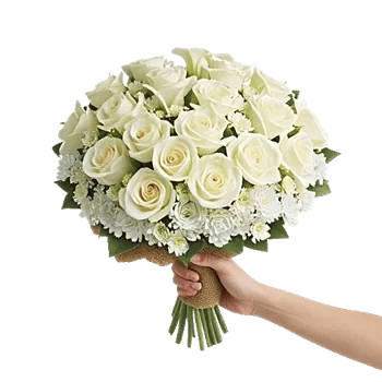 Ivory Garden Grace