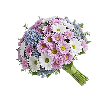 Blossom Petal Serenity