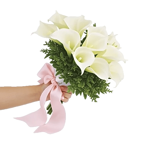 Elegant Calla Lilies