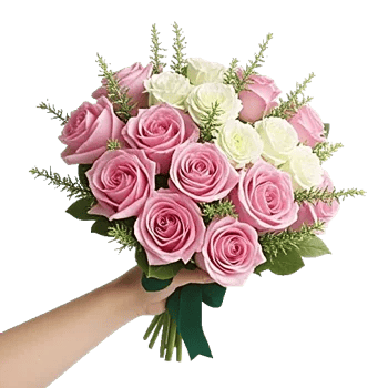 Pastel Pink Roses