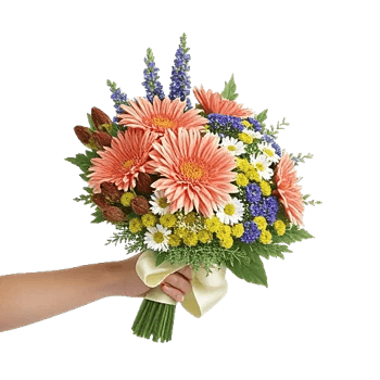 Blossom Petal Serenity