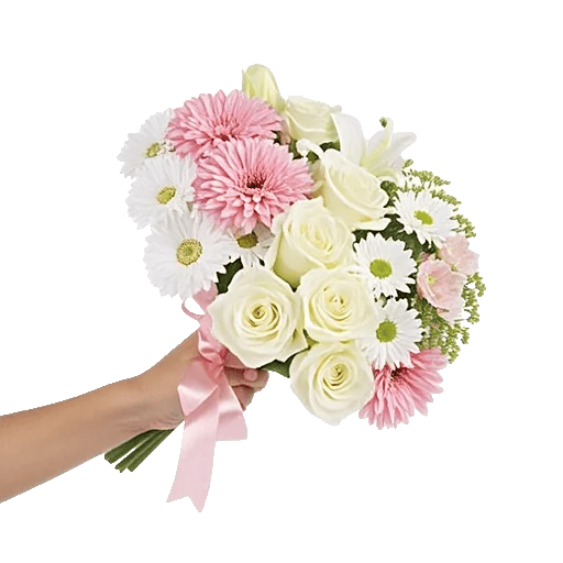 Blushing Rose Symphony