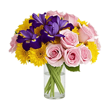 Ivory Blossom Radiance