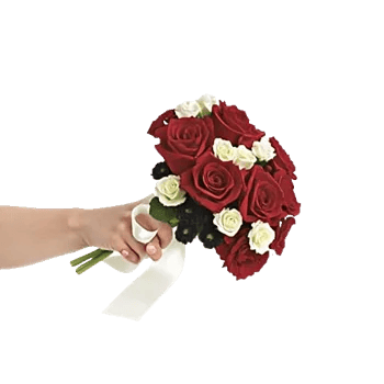 Crimson Rose Elegance