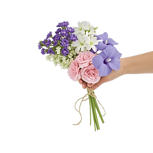 Blossom Petal Serenity