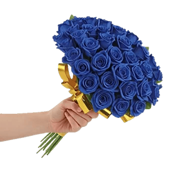 Elegant Blue Roses