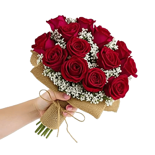 Crimson Rose Elegance