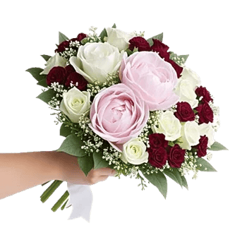 Peony Petal Harmony