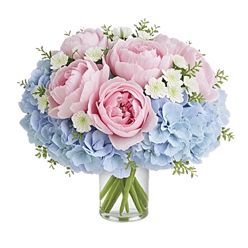 Petal Radiance Bliss