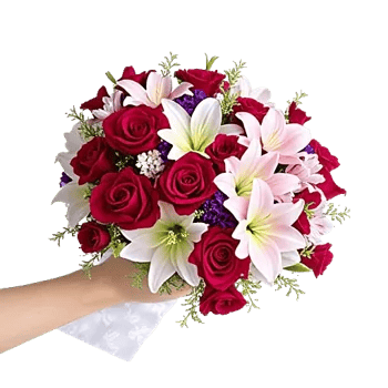 Crimson Rose Elegance