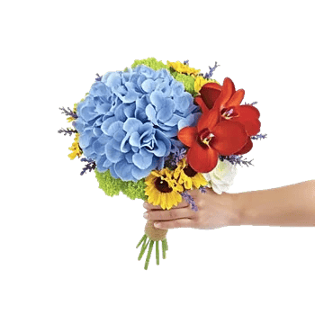 Serene Garden Harmony