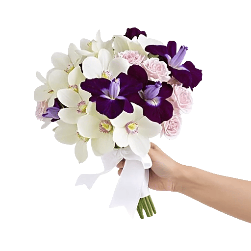 Serenity Orchid Bloom