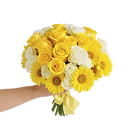 Petal Harmony Bliss