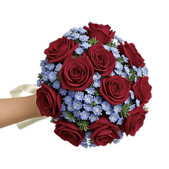 Blushing Rose Symphony