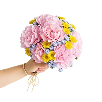 Serene Petal Harmony