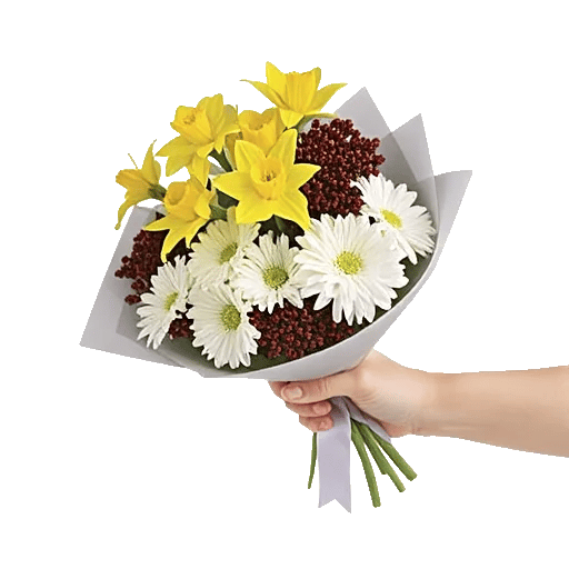 Blossom Harmony Display