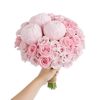 Peony Petal Harmony