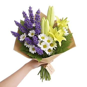 Petal Harmony Bliss