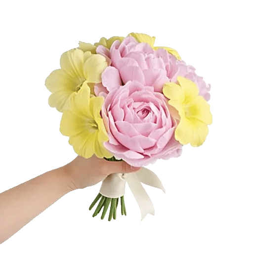 Peony Petal Harmony