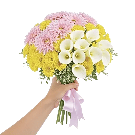 Elegant Calla Lilies