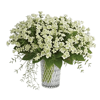 Ivory Blossom Radiance