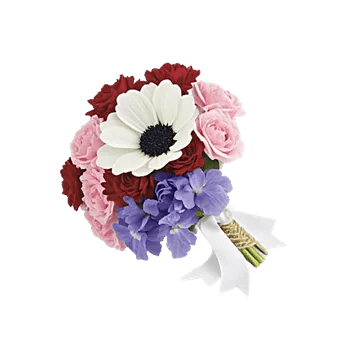 Delicate Petal Cascade