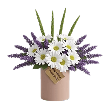 Enchanting Daisy Garden