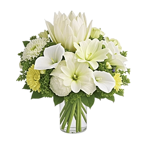Ivory Blossom Radiance