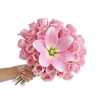 Blushing Rose Symphony