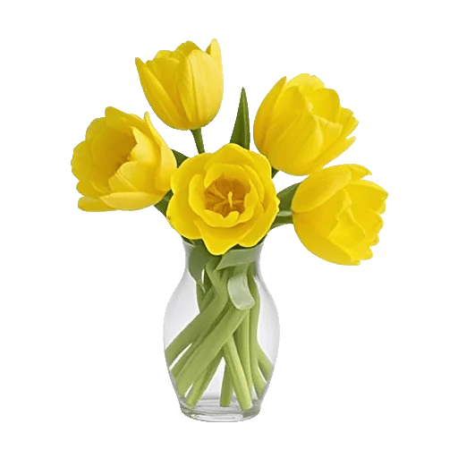 Velvet Tulip Display