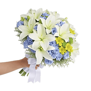 Blooming Serenity Display