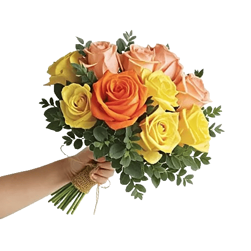Serenade of Roses