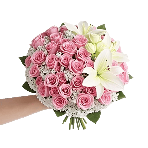 Blushing Rose Symphony