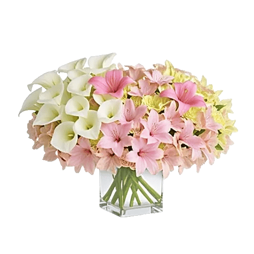 Elegant Calla Lilies