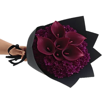 Elegant Calla Lilies