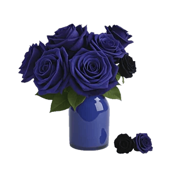 Elegant Blue Roses