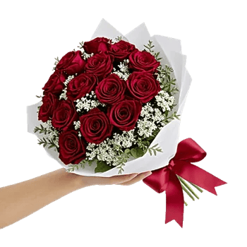 Crimson Rose Elegance