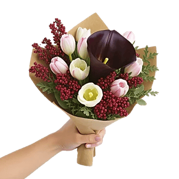 Elegant Calla Lilies