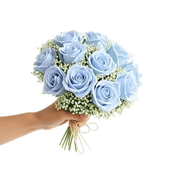 Blossom Petal Serenity