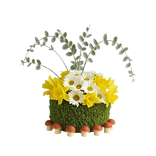 Minimalist White Orchids