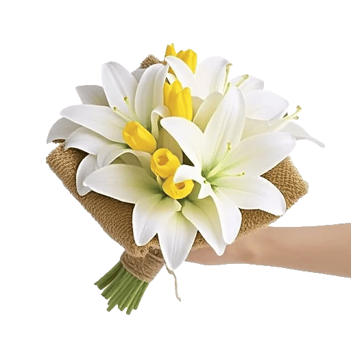 Blossom Harmony Display