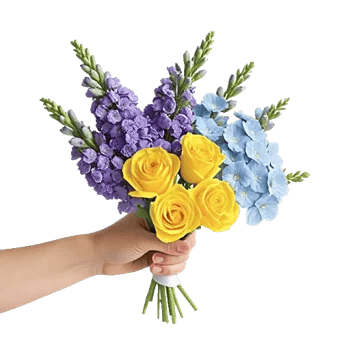 Blossom Harmony Display