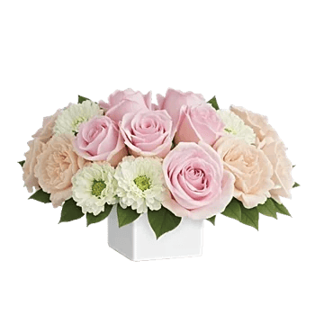 Delicate Petal Cascade