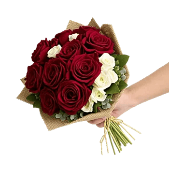 Crimson Rose Elegance