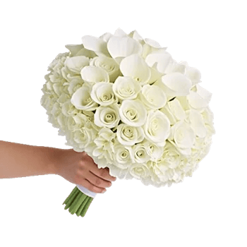 Ivory Garden Grace